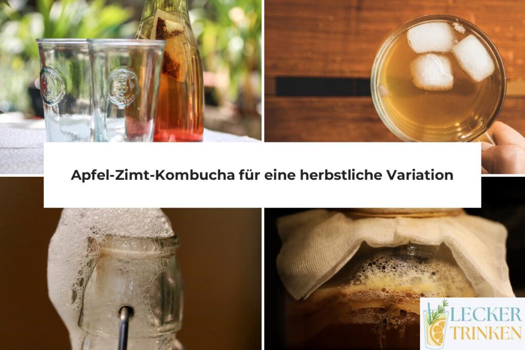 Apfel-Zimt-Kombucha Rezept