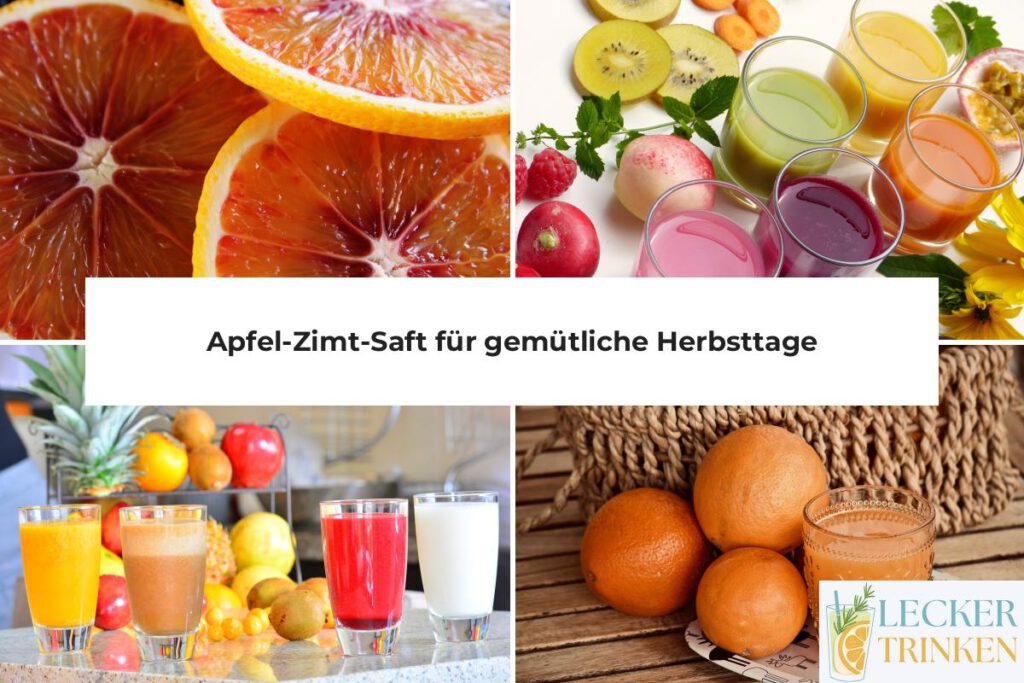 Apfel-Zimt-Saft Rezept