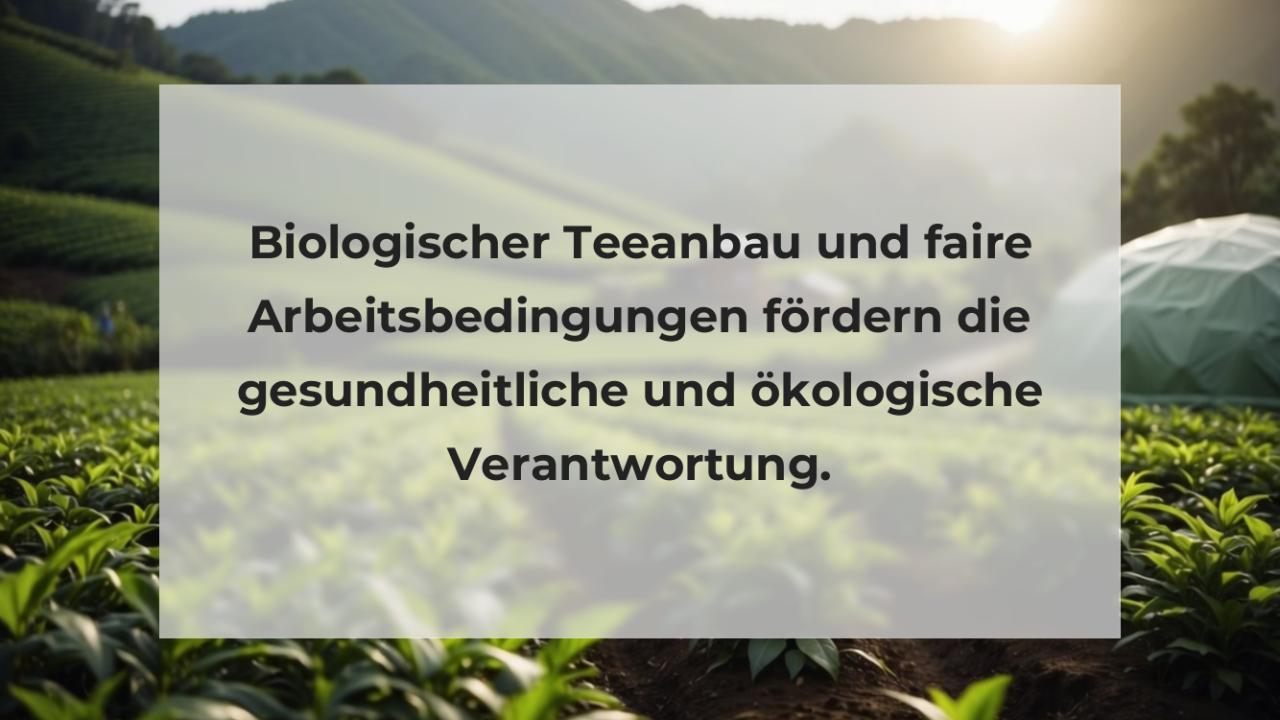 Biologischer Teeanbau und faire Arbeitsbedingungen fördern die gesundheitliche und ökologische Verantwortung.