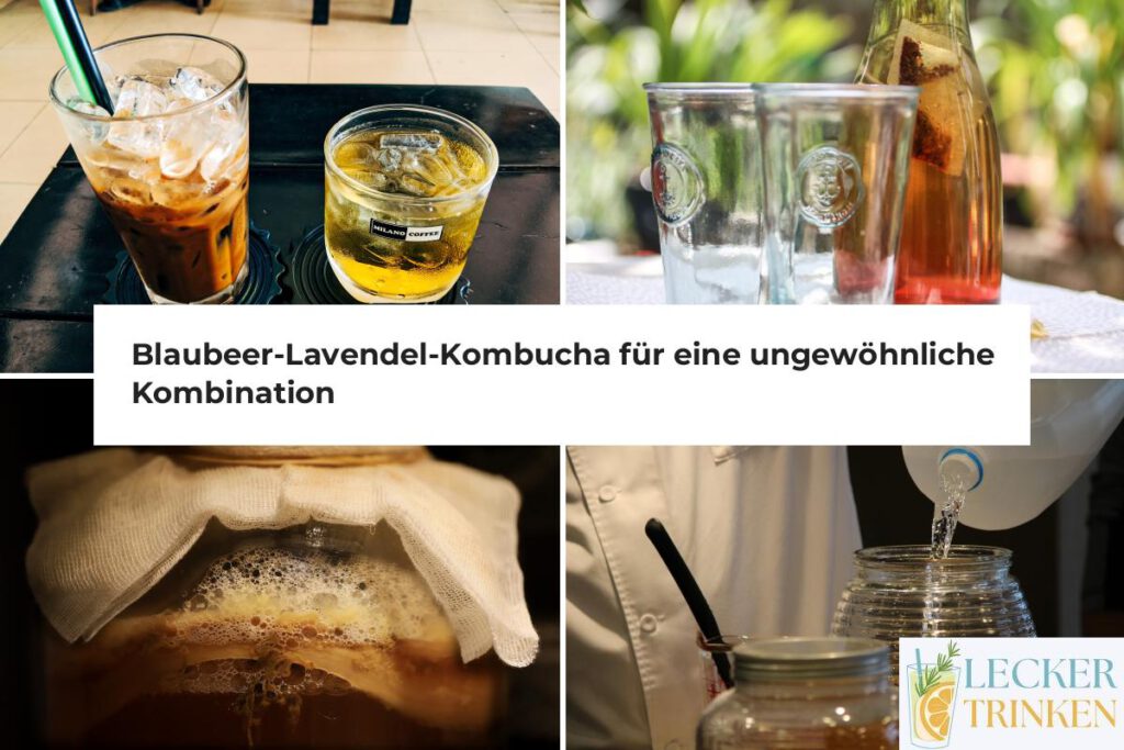 Blaubeer-Lavendel-Kombucha Rezept