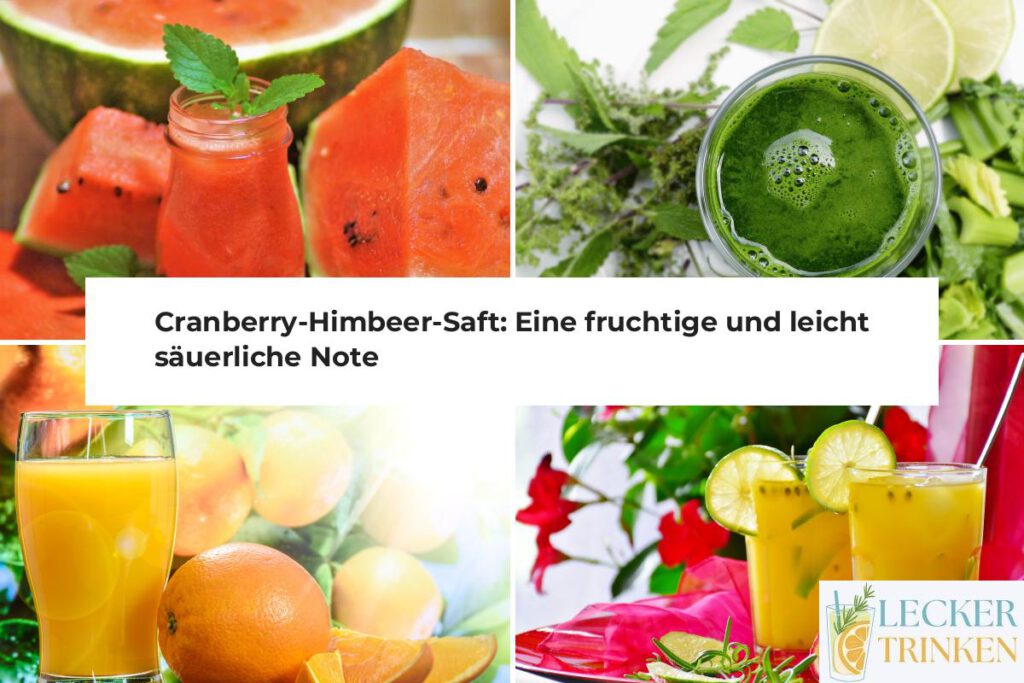 Cranberry-Himbeer-Saft Rezept