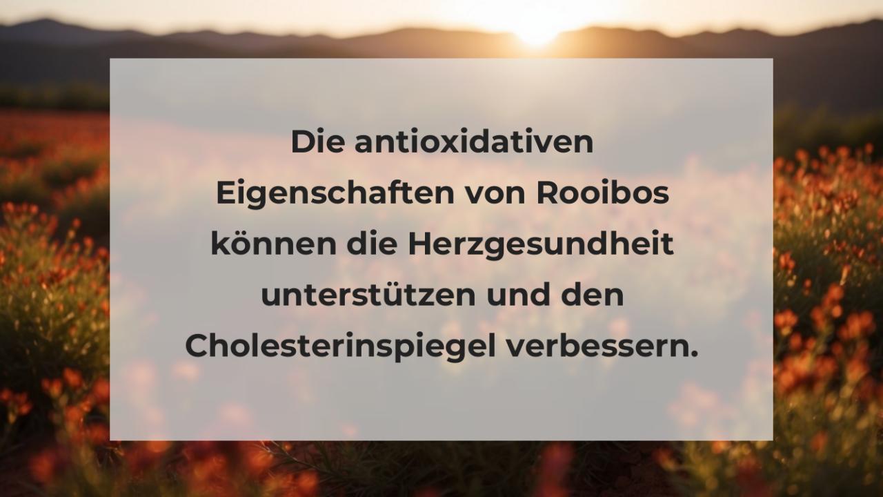 Die antioxidativen Eigenschaften von Rooibos können die Herzgesundheit unterstützen und den Cholesterinspiegel verbessern.