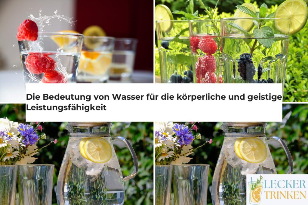 Wasser körperliche geistige Leistungsfähigkeit