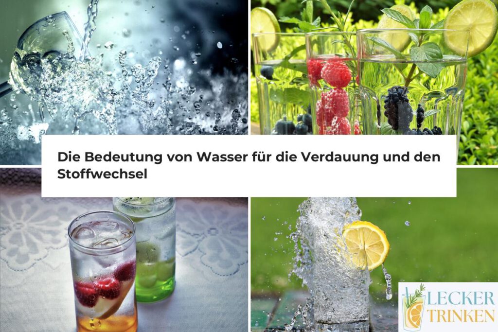 Verdauung Stoffwechsel Wasser