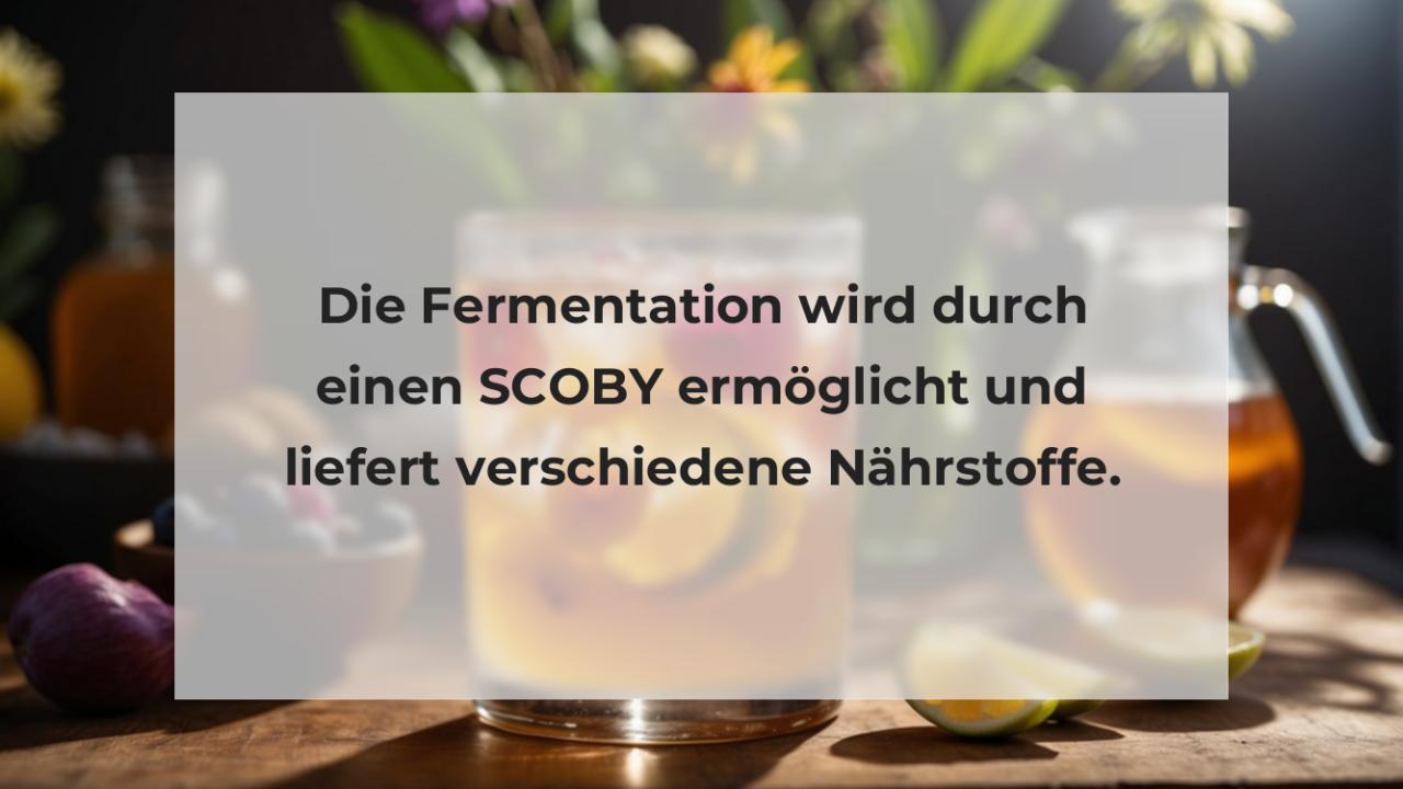 Die Fermentation wird durch einen SCOBY ermöglicht und liefert verschiedene Nährstoffe.