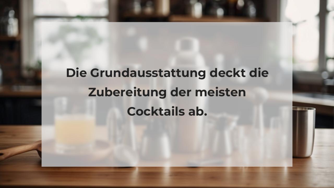 Die Grundausstattung deckt die Zubereitung der meisten Cocktails ab.