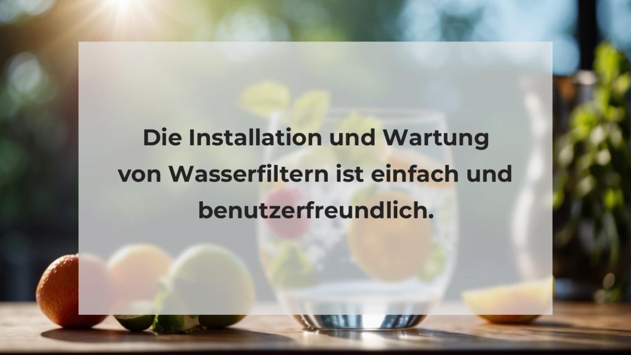 Die Installation und Wartung von Wasserfiltern ist einfach und benutzerfreundlich.