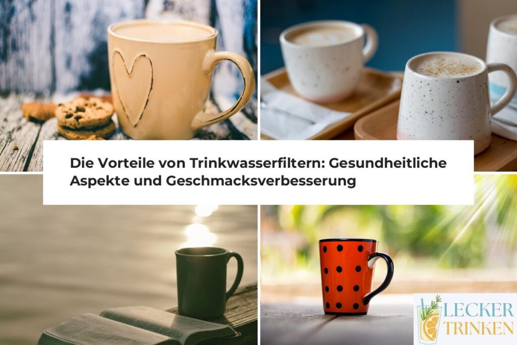 Vorteile Trinkwasserfilter