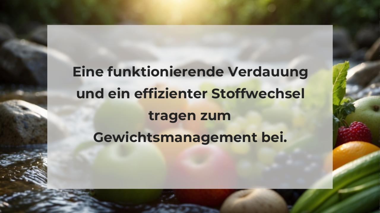 Eine funktionierende Verdauung und ein effizienter Stoffwechsel tragen zum Gewichtsmanagement bei.