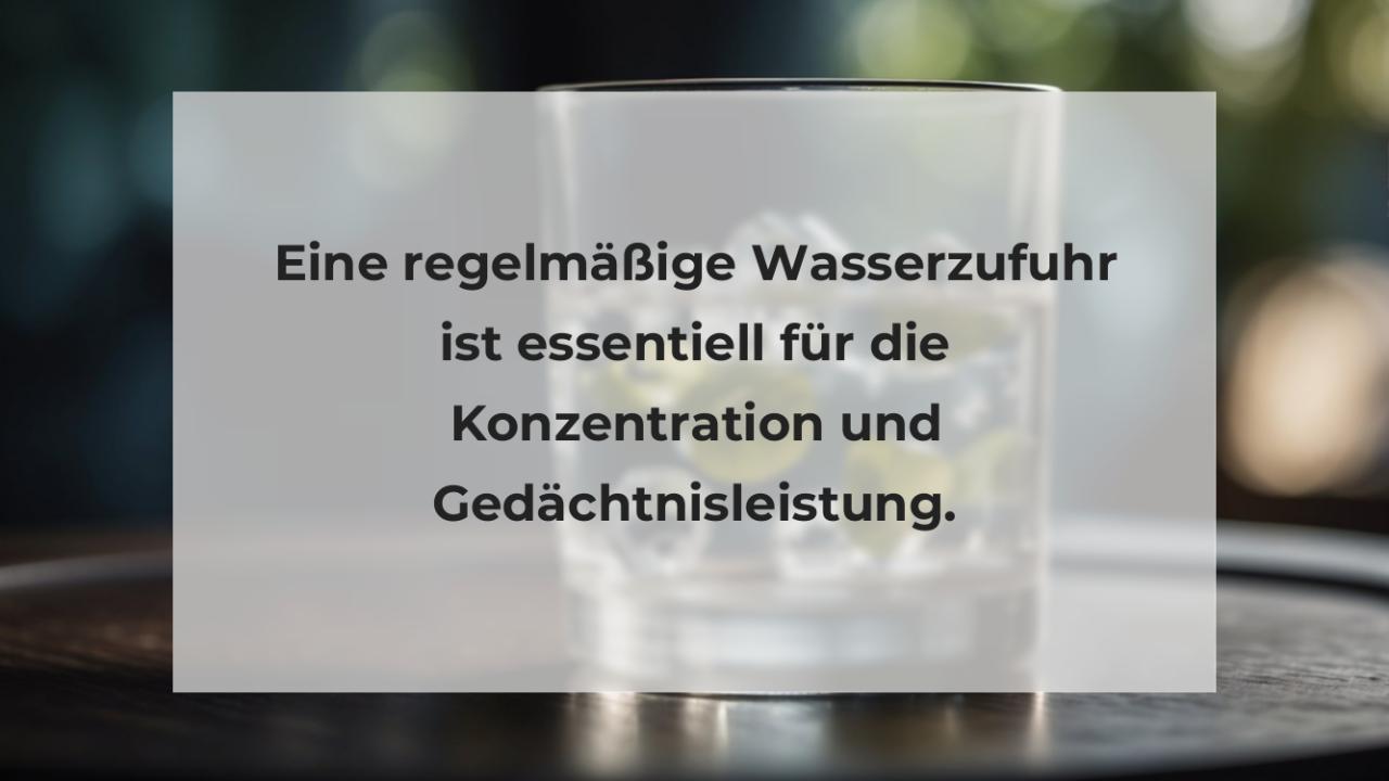 Eine regelmäßige Wasserzufuhr ist essentiell für die Konzentration und Gedächtnisleistung.