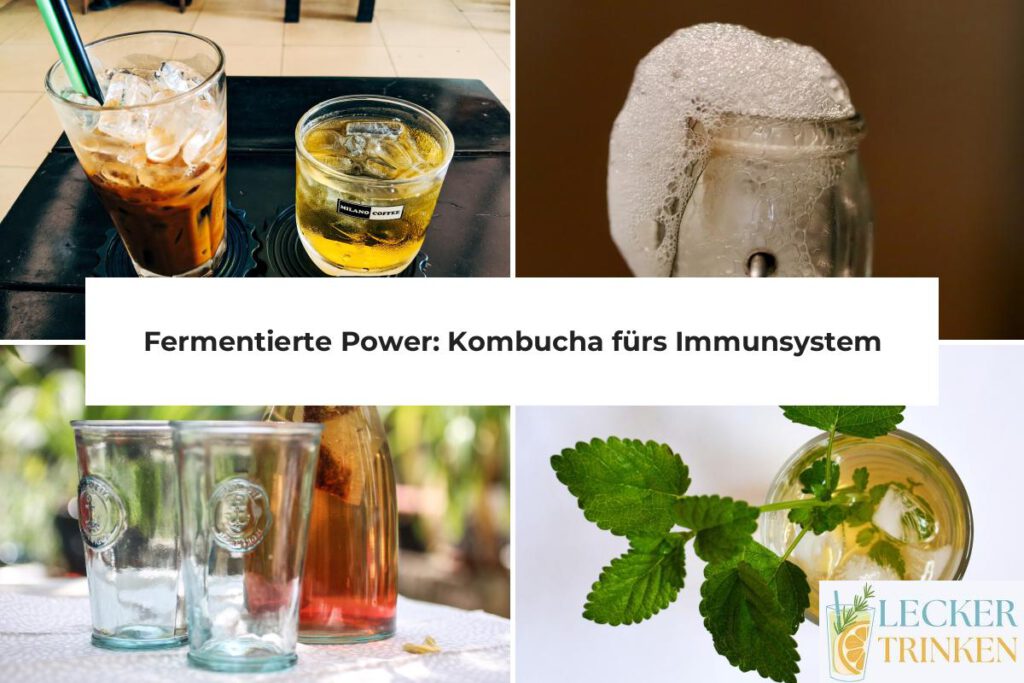 Kombucha Immunsystem