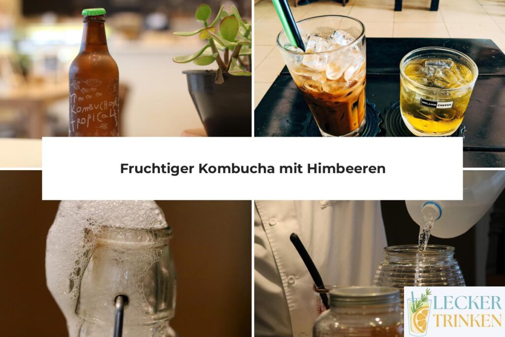 Kombucha Himbeeren Rezept