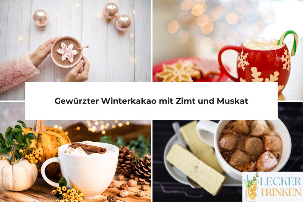 Gewürzter Winterkakao Rezept