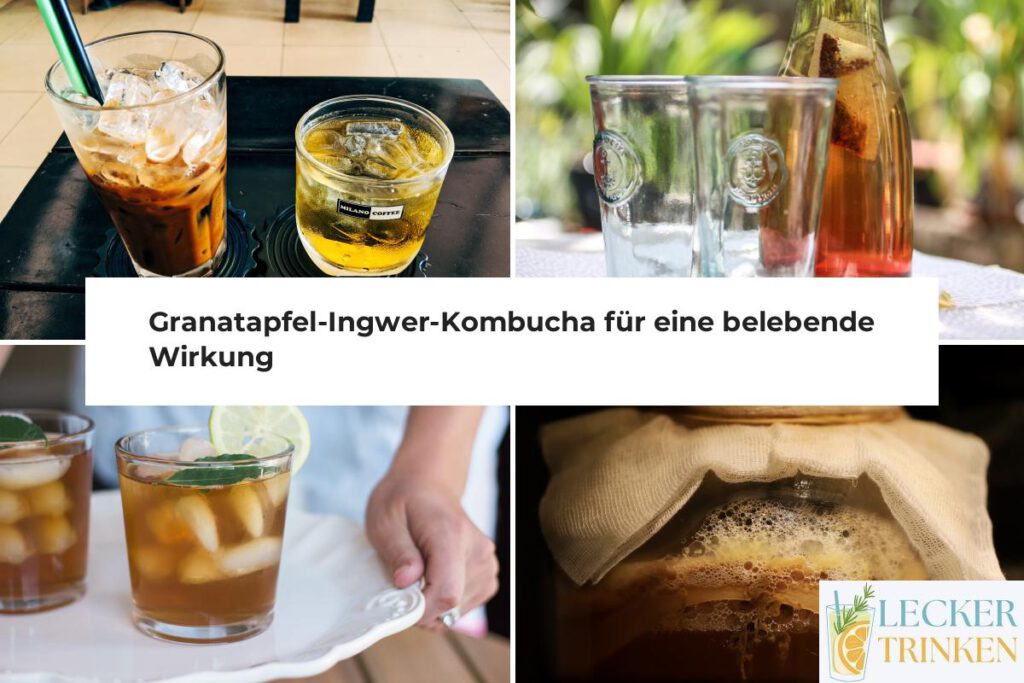 Granatapfel-Ingwer-Kombucha Rezept