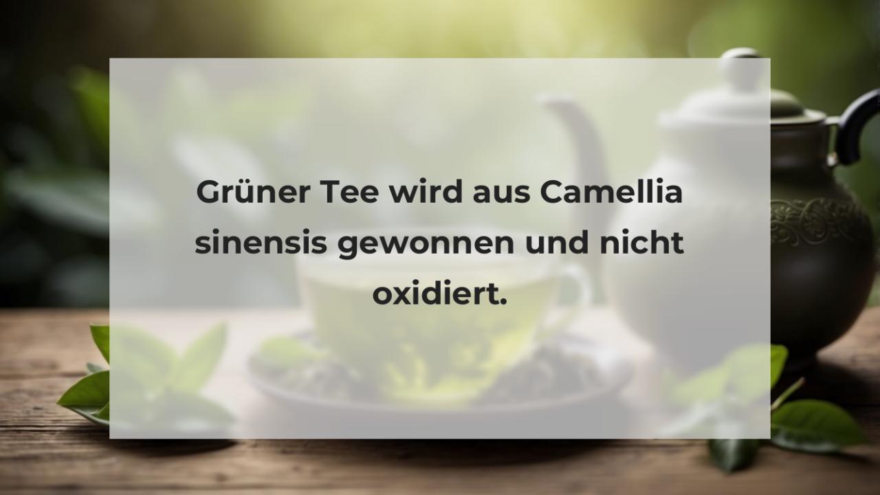 Grüner Tee wird aus Camellia sinensis gewonnen und nicht oxidiert.