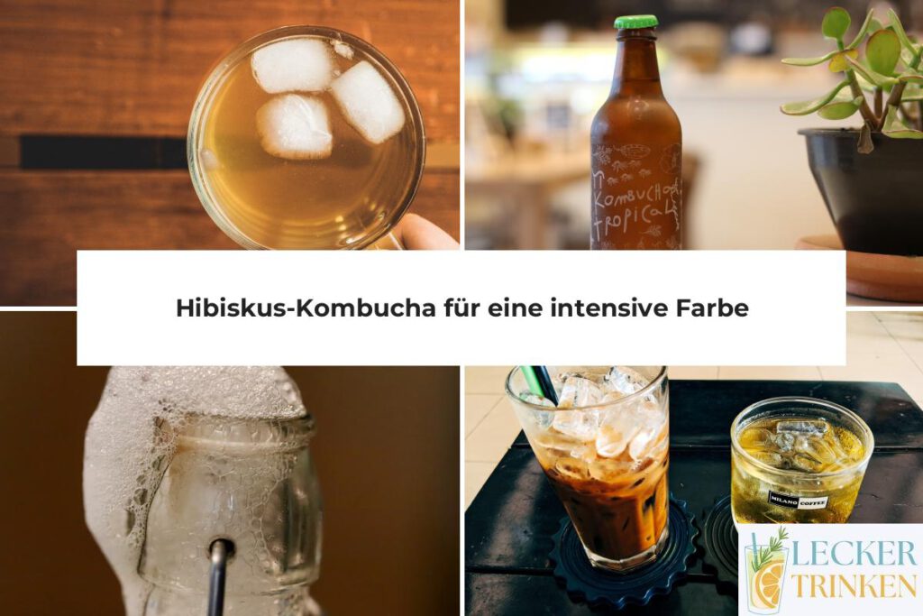 Hibiskus-Kombucha Rezept