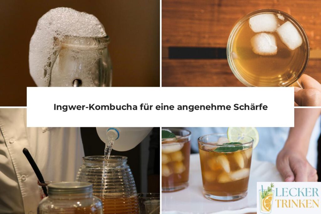 Ingwer-Kombucha Rezept