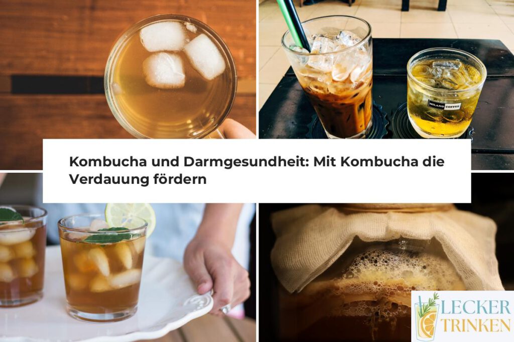 Kombucha Darmgesundheit