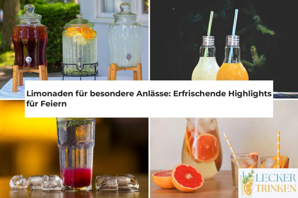 Limonaden für besondere Anlässe selber machen