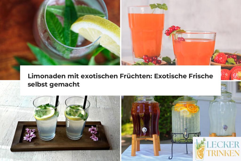 Limonaden mit exotischen Früchten selber machen