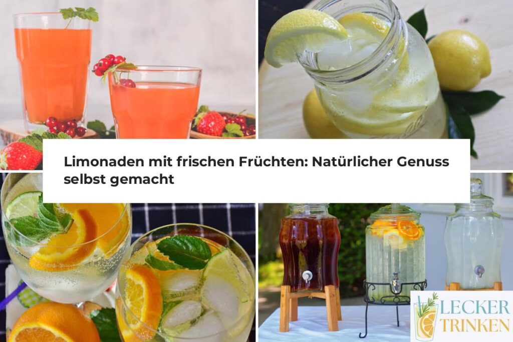 Limonaden mit frischen Früchten selber machen