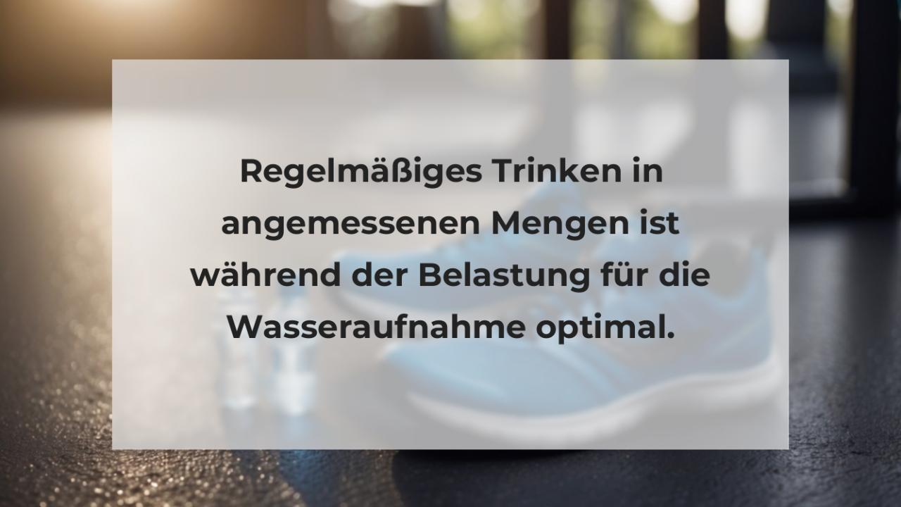 Regelmäßiges Trinken in angemessenen Mengen ist während der Belastung für die Wasseraufnahme optimal.