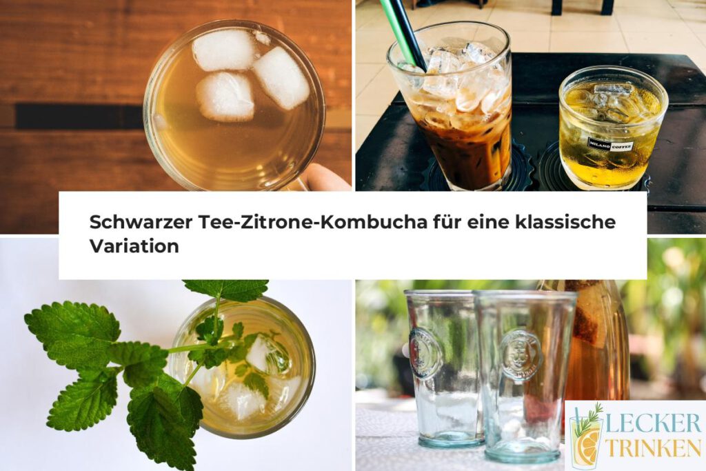 Schwarzer Tee-Zitrone-Kombucha Rezept