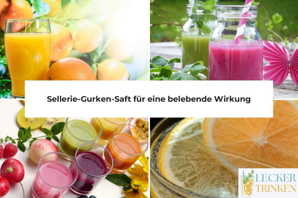 Sellerie-Gurken-Saft Rezept