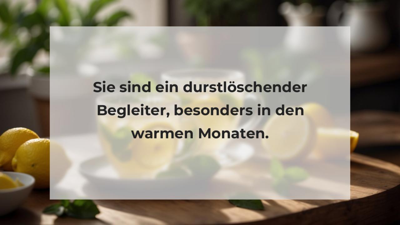 Sie sind ein durstlöschender Begleiter, besonders in den warmen Monaten.