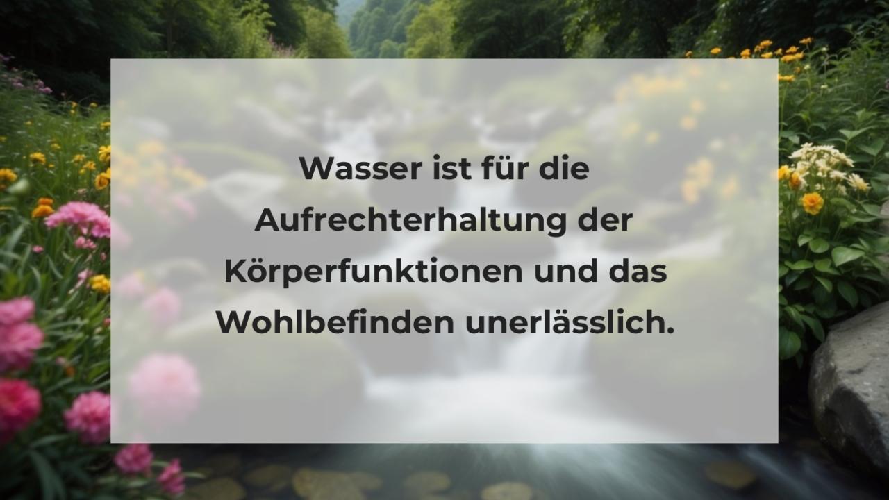 Wasser ist für die Aufrechterhaltung der Körperfunktionen und das Wohlbefinden unerlässlich.