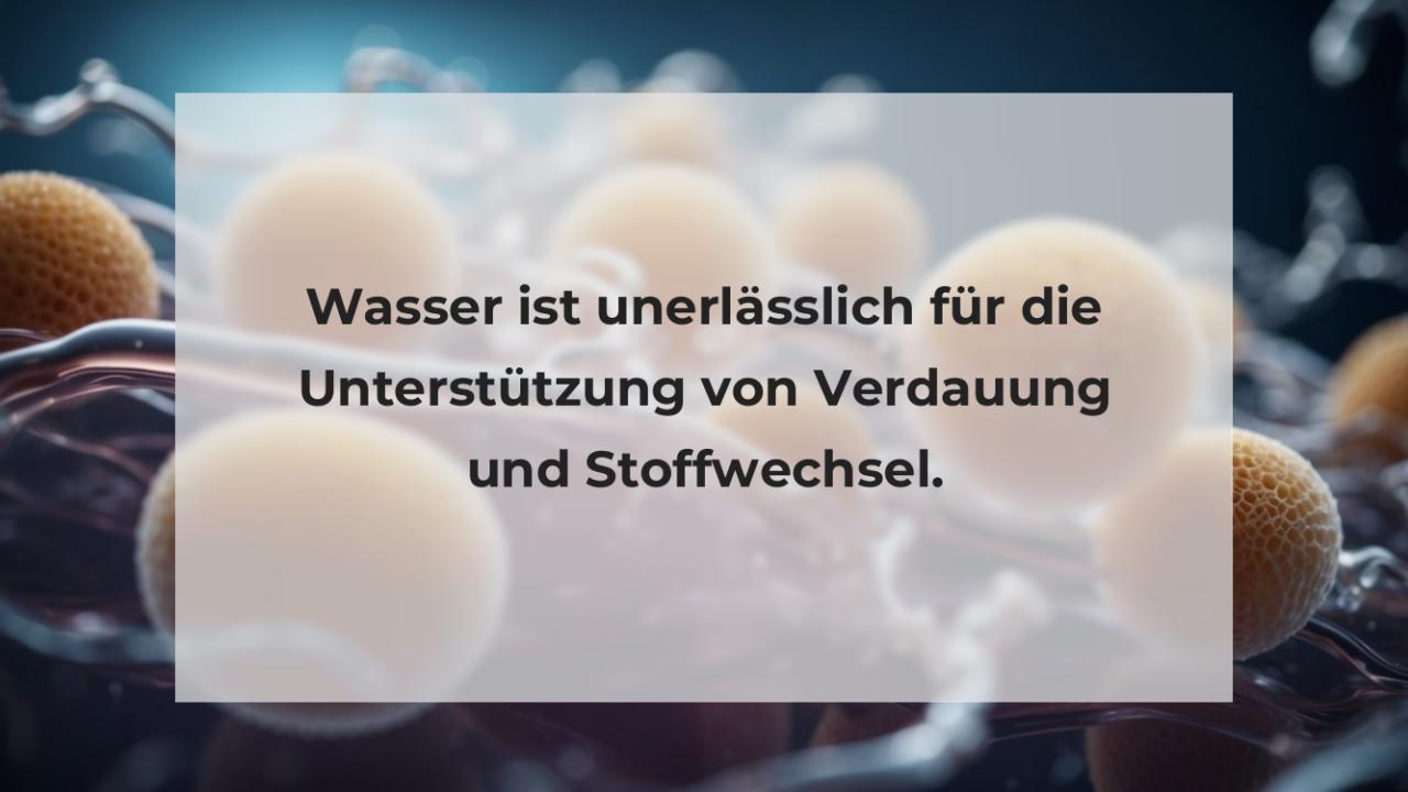 Wasser ist unerlässlich für die Unterstützung von Verdauung und Stoffwechsel.