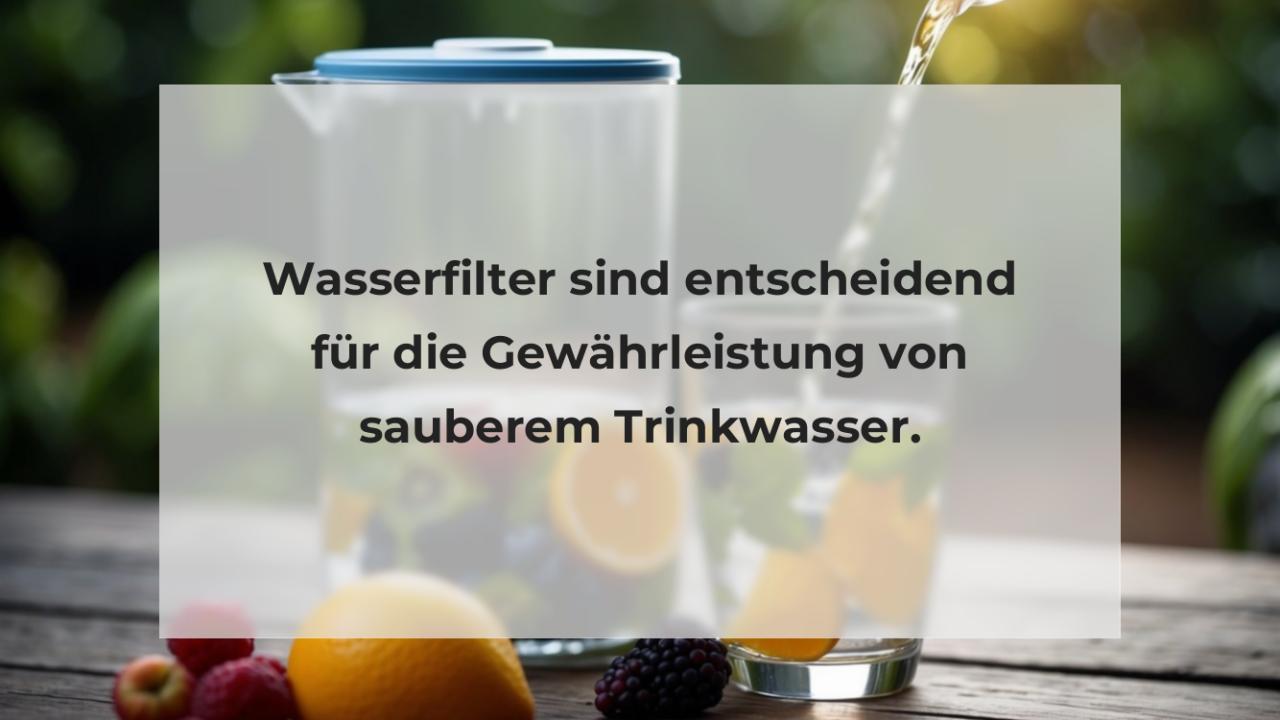 Wasserfilter sind entscheidend für die Gewährleistung von sauberem Trinkwasser.