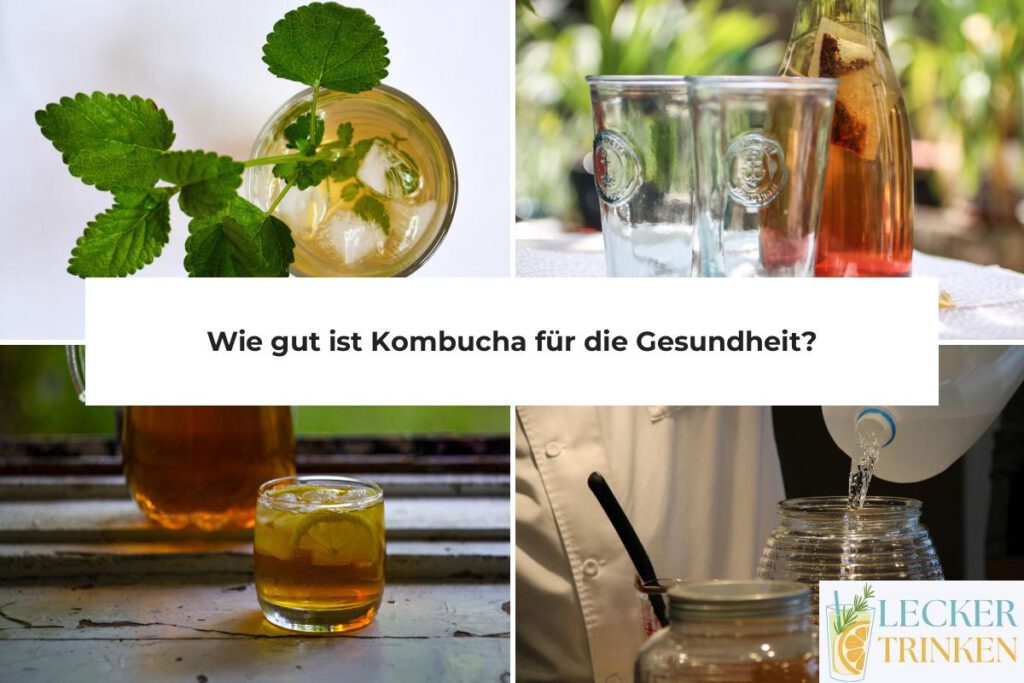 Kombucha Gesundheit